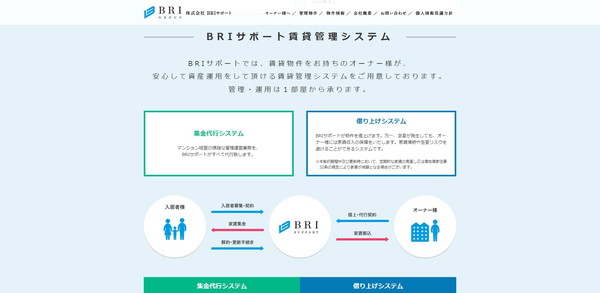 BRIサポート公式HPキャプチャ